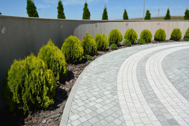 Best Driveway Paving Contractor  in New Brighton, MN